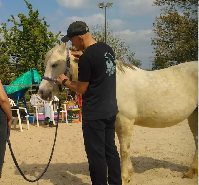 Chris Debski behandelt die Genickregion eines Ponys
