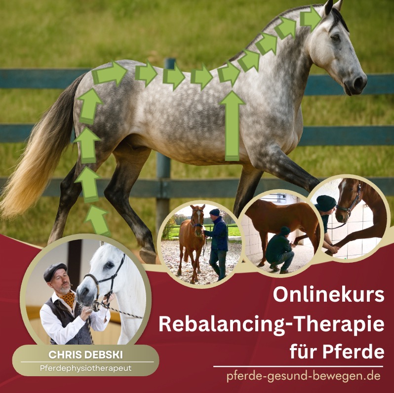 Kurscover: Onlinekurs Rebalancing-Therapie für Pferde von Chris Debski