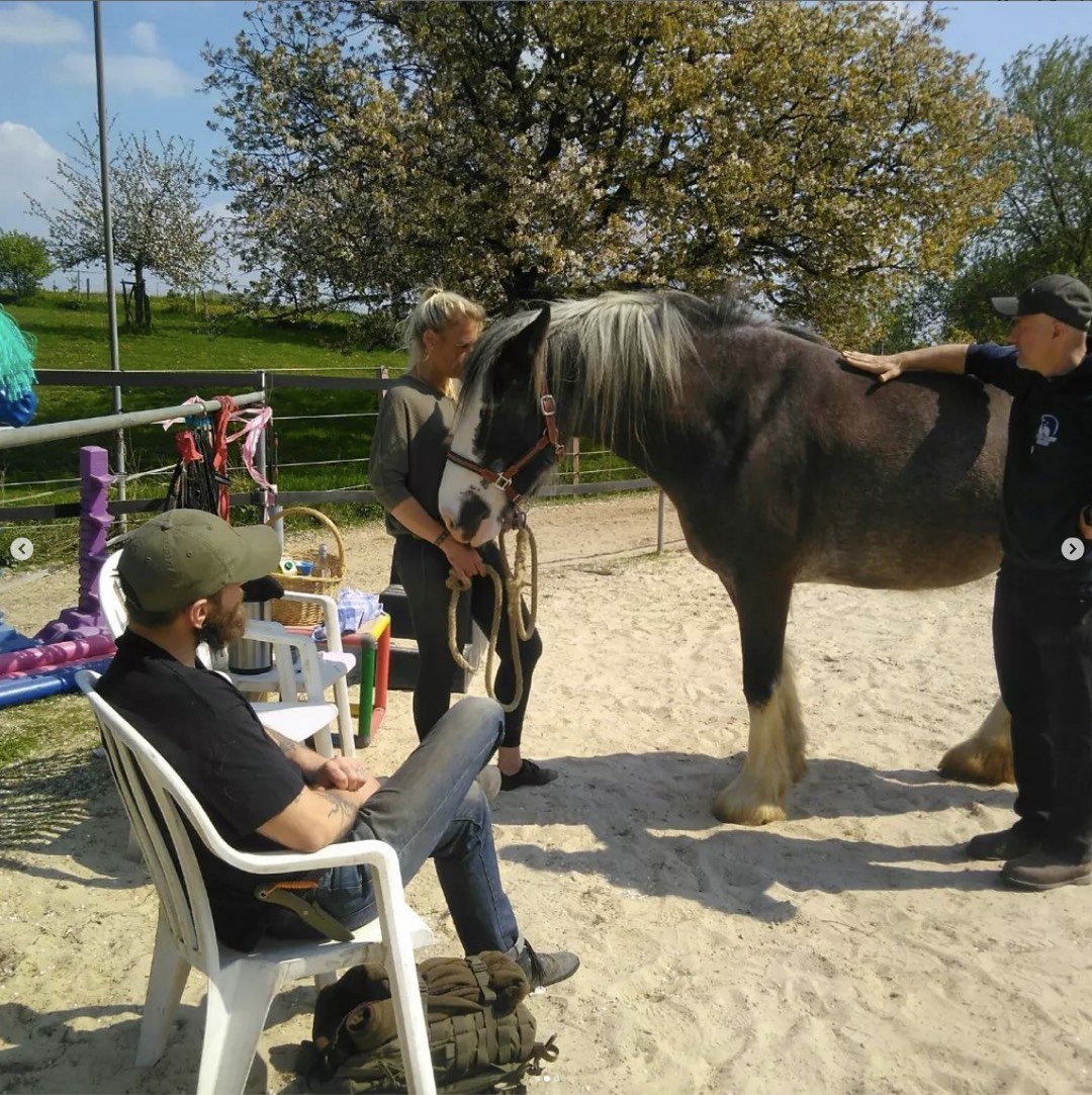 Seminar-Situation: Chris Debski zeigt Behandlungsgriffe am Kaltblut