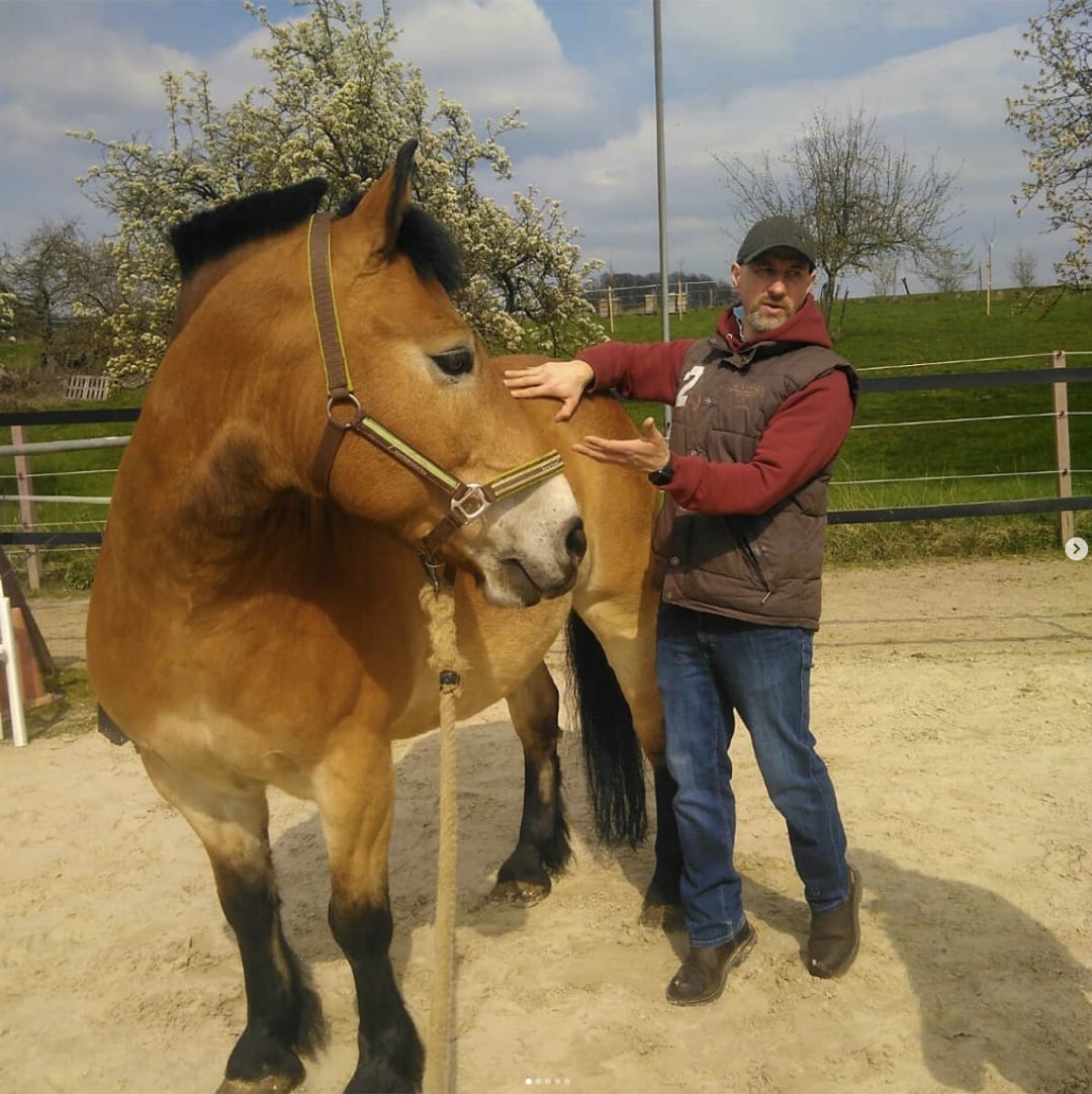 Chris Debski erklärt die Behandlung am Kaltblut