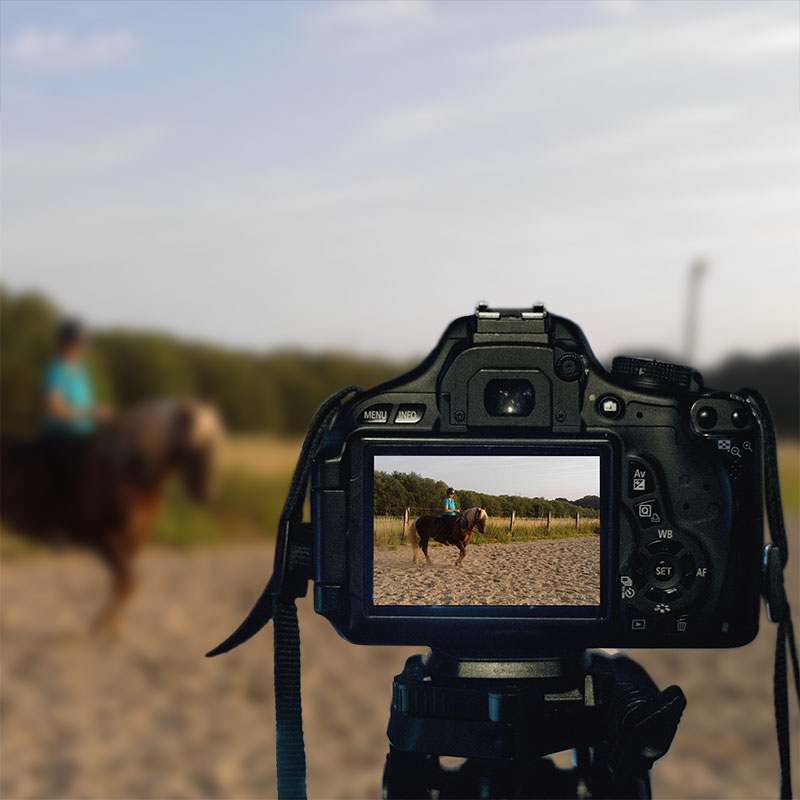 Videoanalyse: Kamera zeichnet Pferd und Reiter auf dem Reitplatz auf