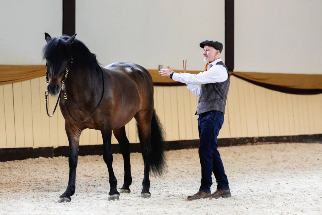 Chris Debski bei der freien Arbeit mit einem Pferd in der Reithalle