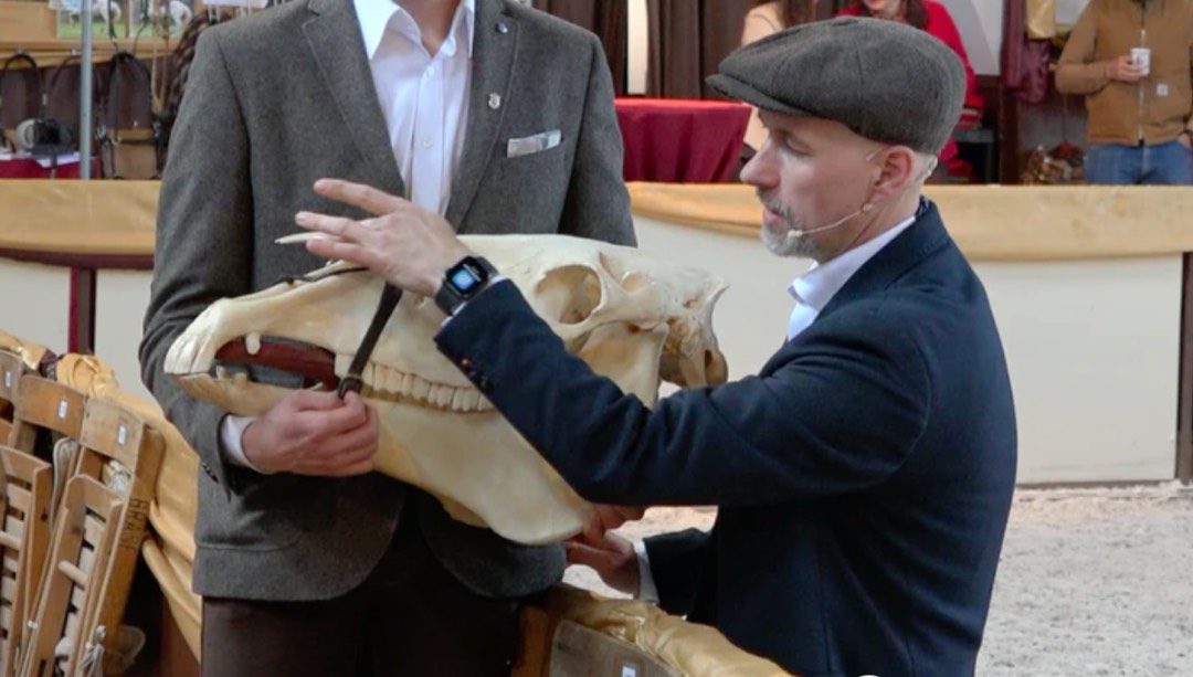 Anatomie zum Anfassen: Chris Debski erklärt am Pferdeschädel