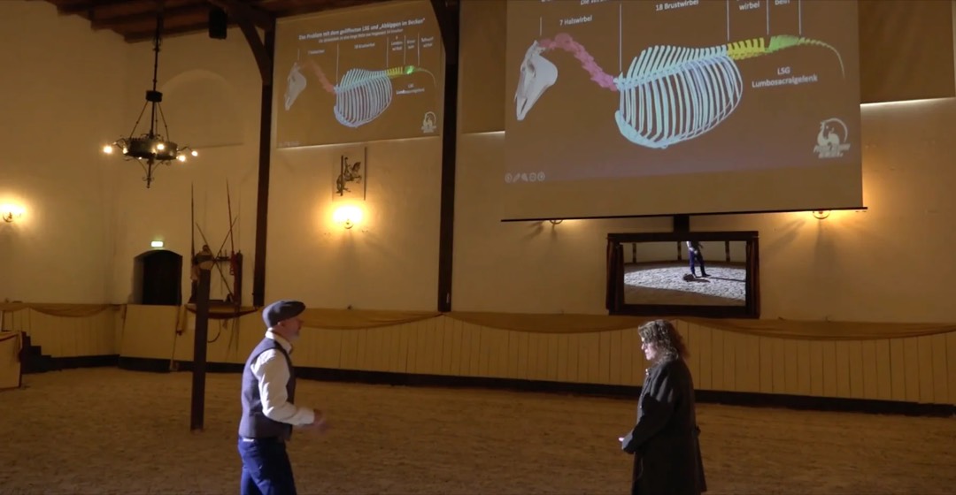 Vortrag zur Anatomie der Pferdewirbelsäule mit Großprojektion