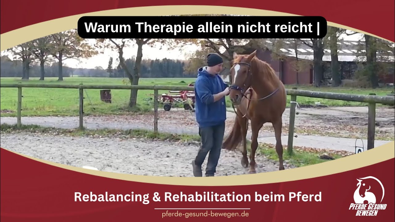 Vorschaubild: Video zur Rebalancing-Therapie für Pferde